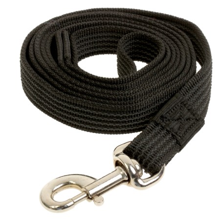 Kaponnoye Zononic leash with latex thread and reinforced carbine, 2 m x 2.5 cm, black
