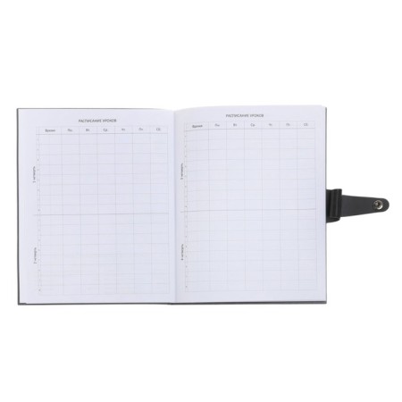 Universal diary for grades 1-11 Favorite, integrated artificial leather cover on the button, embossing foil, liesse, 48 sheets-12