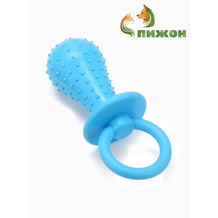 Chewing toy "Dummier for the baby", tpr, 14.5 cm, blue