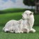 Garden figure "Sheep with a sheep" 24x17x16cm