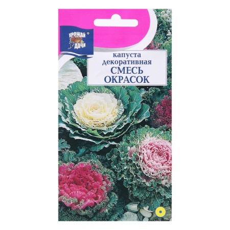 Cabbage flower seeds decorative mixture of colors, 0.2 g-2