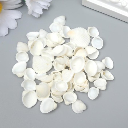 Decorative shells "Clam Rose" 100 g-1