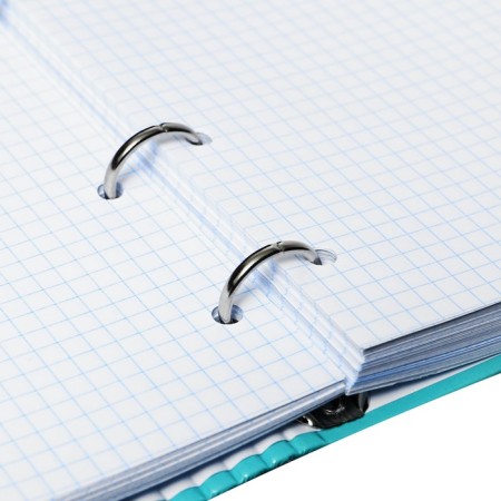 Notebook on rings A5 160 sheets in the GUSSI cage, hard cover, glossy lamination-4