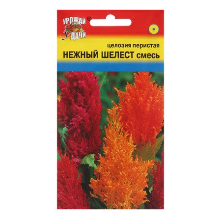 Flower seeds Celosy Cirrus "delicate rustle", mixture, 0.2 g