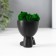 Concrete Kashpo "Mr. Green" with moss black 5.5x6.5x6.5 cm (moss green stabilized)