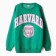 Women's sweatshirt was launched, the color is dark green, the ONE Size (42-46)