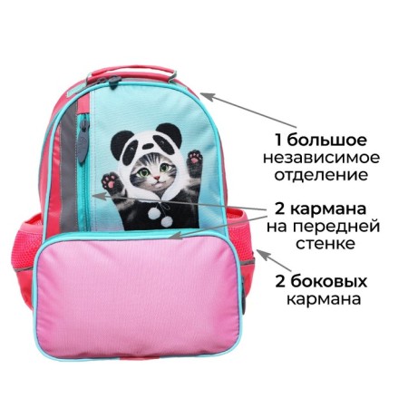 School backpack, 37 x 26 x 13 cm, ergonomic back, calligrata orth "cat panda"-2