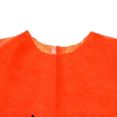 Carnival set "Strong carrot", felt-7