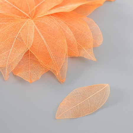 Leaves skeletoned for creativity "orange" set 20 pcs h = 6-6.5 cm
