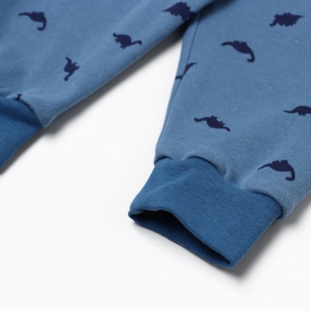 Children's sliders "Dino", blue color, height 80-2