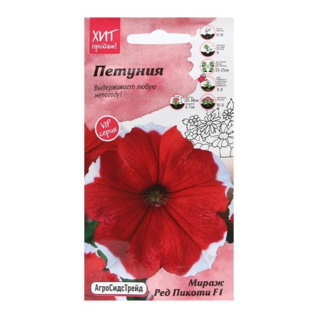 Flowers of Petunia "Mirage Red Picoti", 10pcs