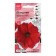 Flowers of Petunia "Mirage Red Picoti", 10pcs