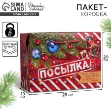 Package - New Year's Parcation, 28 x 20 x 13 cm, New Year