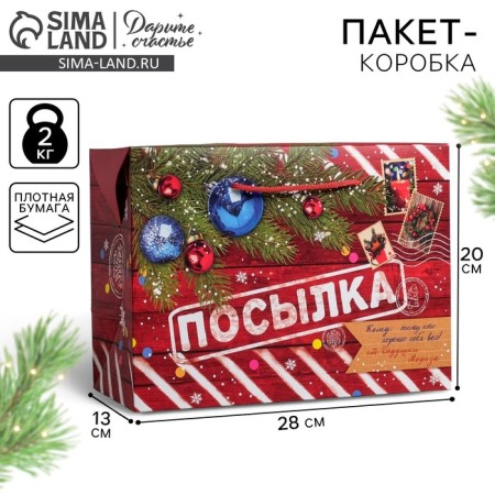 Package - New Year's Parcation, 28 x 20 x 13 cm, New Year
