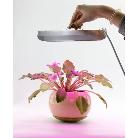 Glanzen RPD-0001-60-GROW LED lamp for plants-5