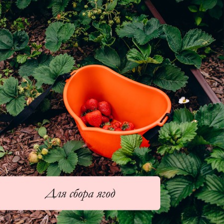 Berry collection container, 3 l, orange-4