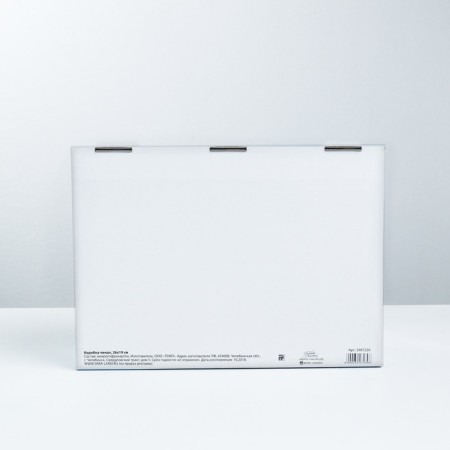 Box - Penal, Gift packaging, "Delicate cat", 26 x 19 x 10 cm-2