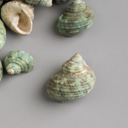 Set of decorative snails 150 grams-1