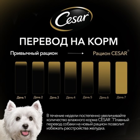 Wet Cesar food for dogs, lambs with vegetables in sauce, spider, 85 g-4