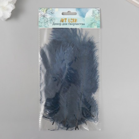 Decorative ostrich "Blue Night" h = 15-20 cm-2