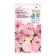 Flowers of Petunia "Ivetta", "Children's bed", 10 pcs