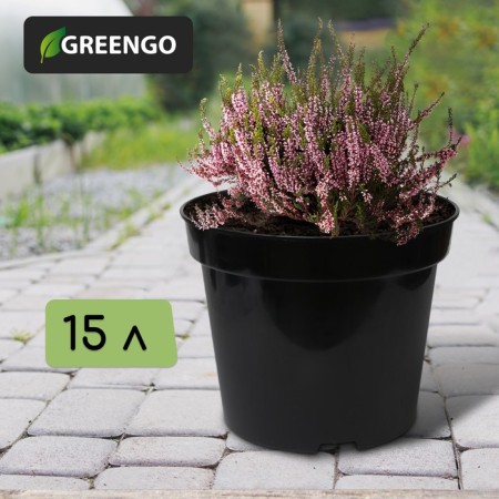 Pot for seedlings, 15 l, d = 31 cm, h = 26 cm, black, Greengo