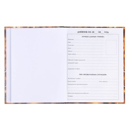 Diary for grades 5-11, “leopard”, solid cover 7BC, glossy lamination, 48 sheets-3