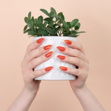 Patch nails, 24 pcs, with adhesive plates, almond shape, coral color-13