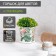 Pot for the flowers of the Steeling Dilan, 800 ml, white color