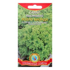 Salad leaf salad 