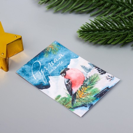 A set of postcards with seeds "grow itself" "Happy New Year!" 5*7cm-2