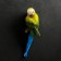Suspended decor "Wavy parrot on a branch" 7x12x29 cm