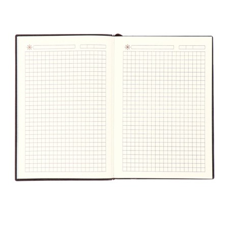 The diary is notathered, A6+format, 116 sheets, cage, blue light, tones. cut-6