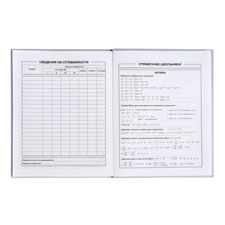 School diary for grades 1-11, "blue", covered paper cover, hard binding cardboard 7BC, matte lamination, universal cheat sheet, 48 sheets, block 65g/m2-7
