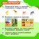 Developing Sorter Set “Study of Animals”, according to the Montessori Methodology