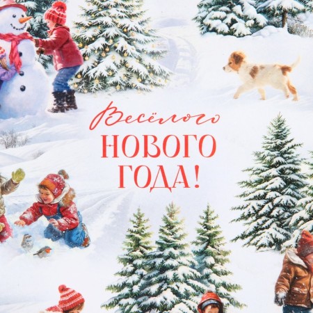 Glossy packaging paper "Funny New Year", 60 x 90 cm, New Year-3