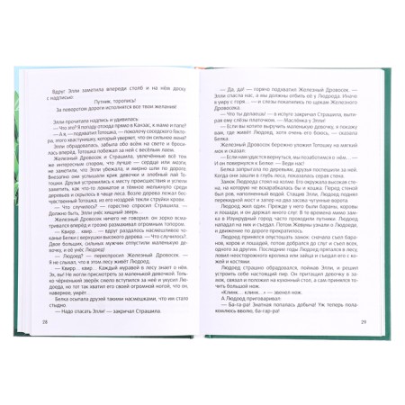 Extracurricular reading "Wizard of the Emerald City"-1