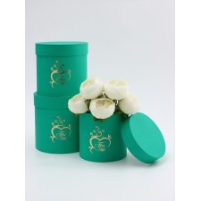 A set of hats 3 in 1 