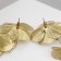 Earrings hanging "flower" catlaya, color gold, 10cm