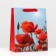 Laminated "Red Macs" 26x32x12 package