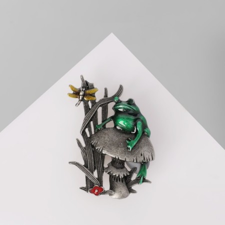 Brooch "Frog" in the swamp, colored in black silver