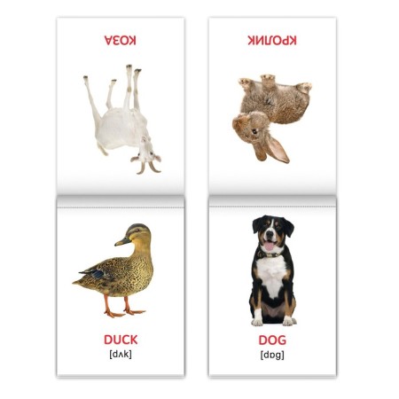 Books Set "Doman Cards in English", 8 pcs. 24 p.-5