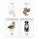 Books Set "Doman Cards in English", 8 pcs. 24 p.