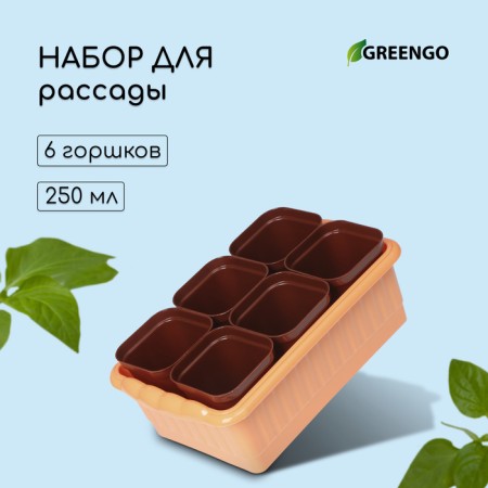 Set for seedlings: glasses of 250 ml (6 pcs.), Container 24 × 16 cm, mix
