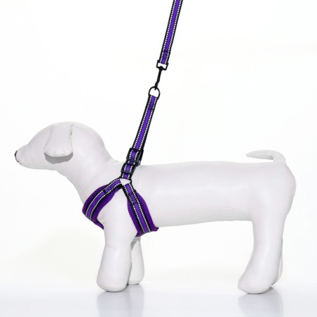 The ammunition set is soft, reflective, leash 120 x 2 cm, Osh 25-72 cm, purple-1