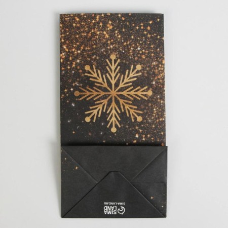 Package without pens "Gold", 10 x 19.5 x 7 cm, New Year-3