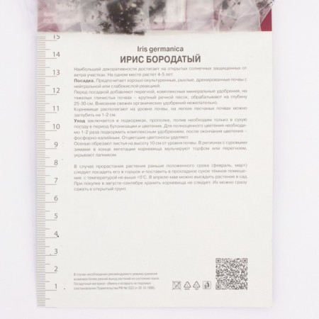 Iris Bearded Tris, Rr. I, 1 pc, Spring 2025-2