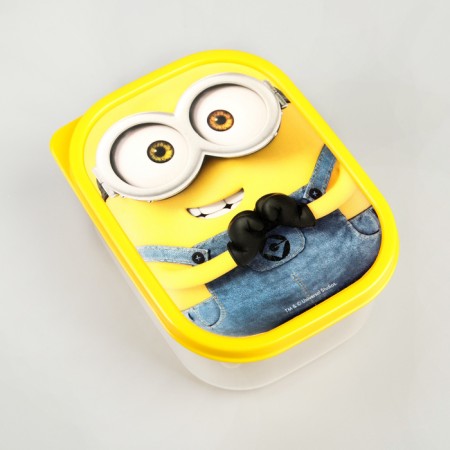 Lunch-Box rectangular, 500 ml, "Minon" ugly self-2