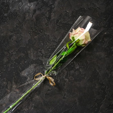 Package for flowers, cone, 5+15*80cm, transparent
