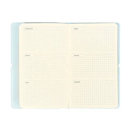 PROVINARY NOT LEARNED, 80 sheets, 100x170 mm, Devente.Jane, soft cover of PVC, elastic band, perforation, liesse, block 70%, blue-11